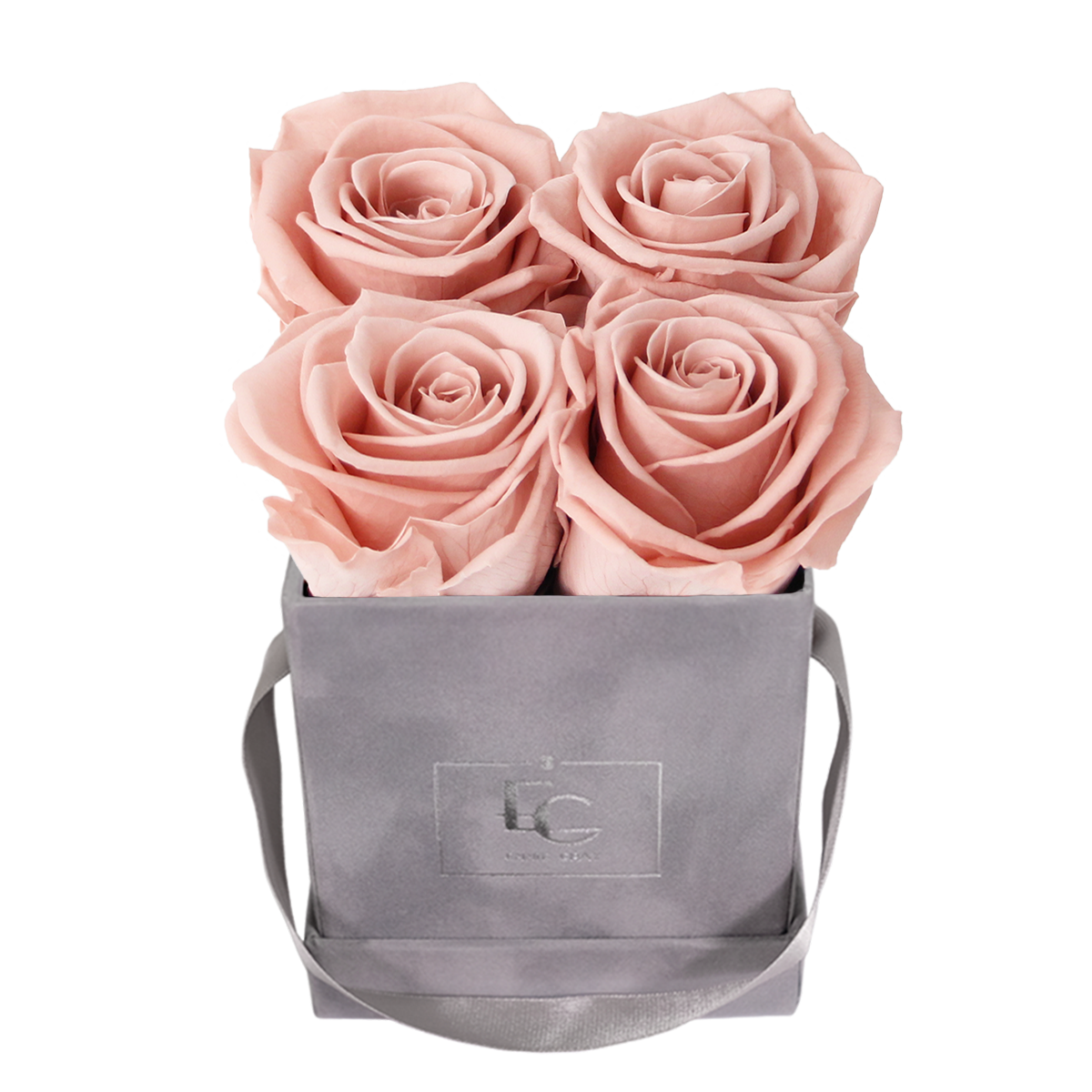 Classic Infinity Rosebox | Antique Pink | XS