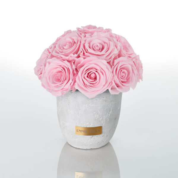 Premium Solid Splendid Infinity | Bridal Pink | S