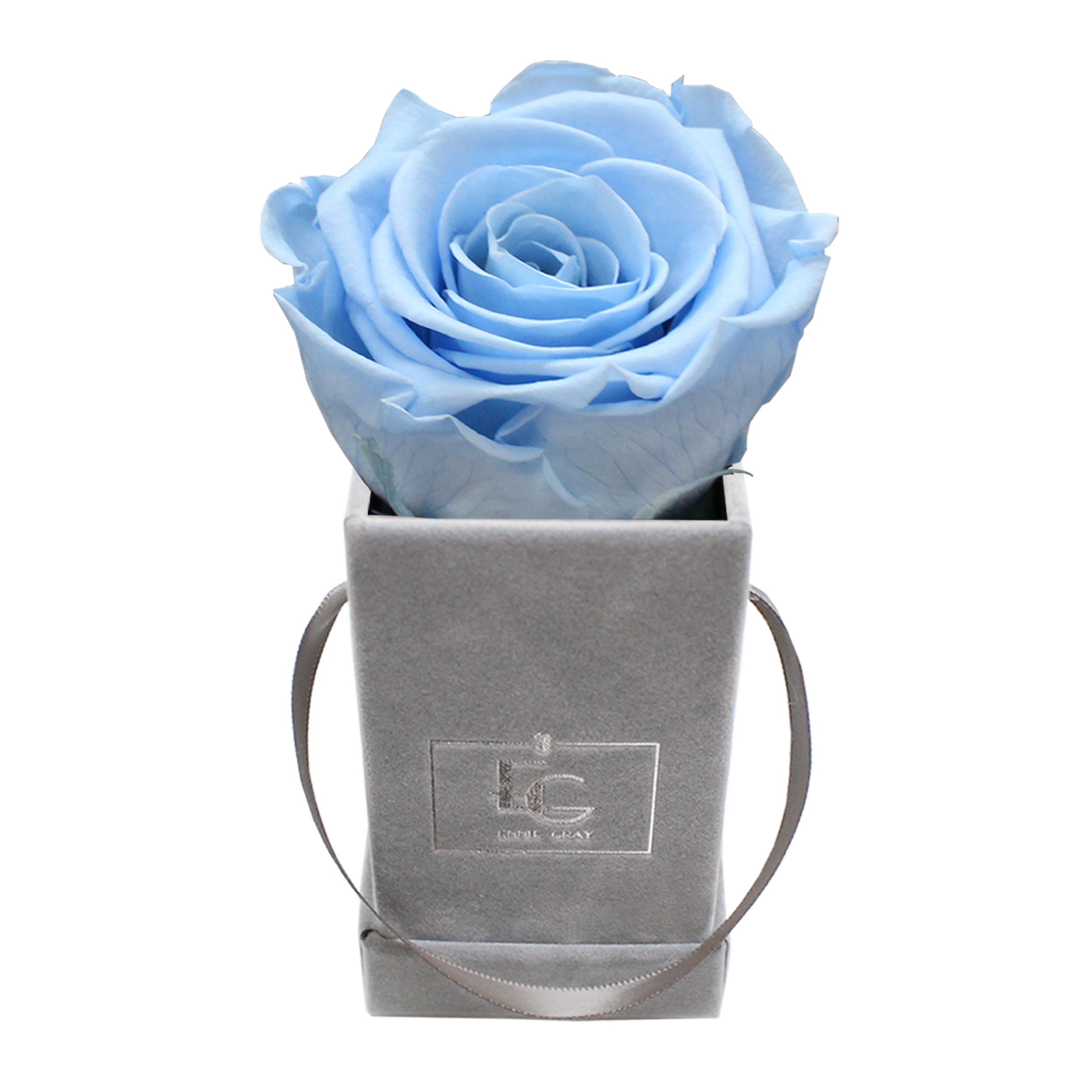 CLASSIC INFINITY ROSEBOX | BABY BLUE | XXS