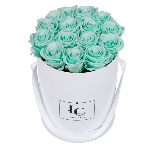 CLASSIC INFINITY ROSEBOX | MINTY GREEN | M