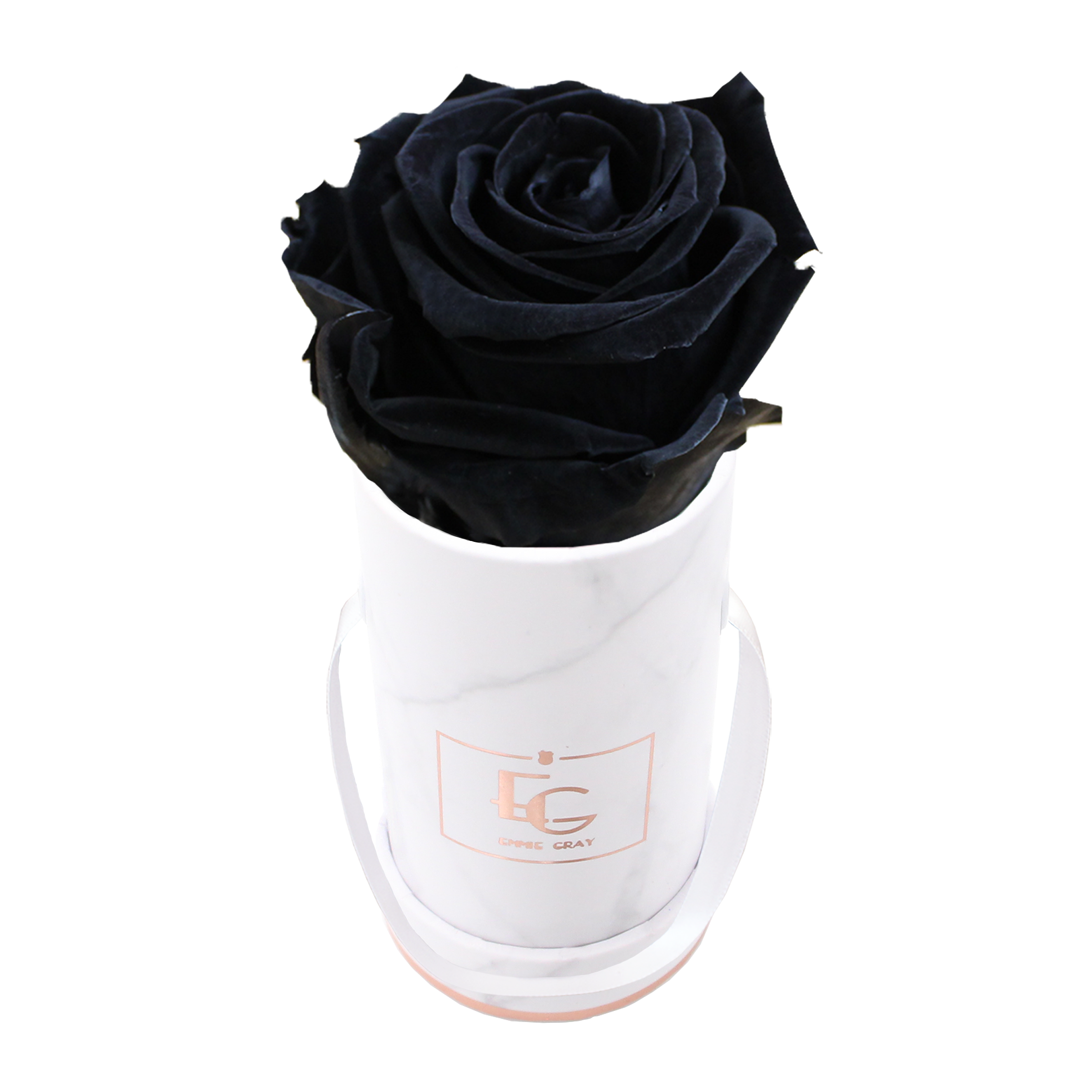 Classic Infinity Rosebox | Black Beauty | XXS