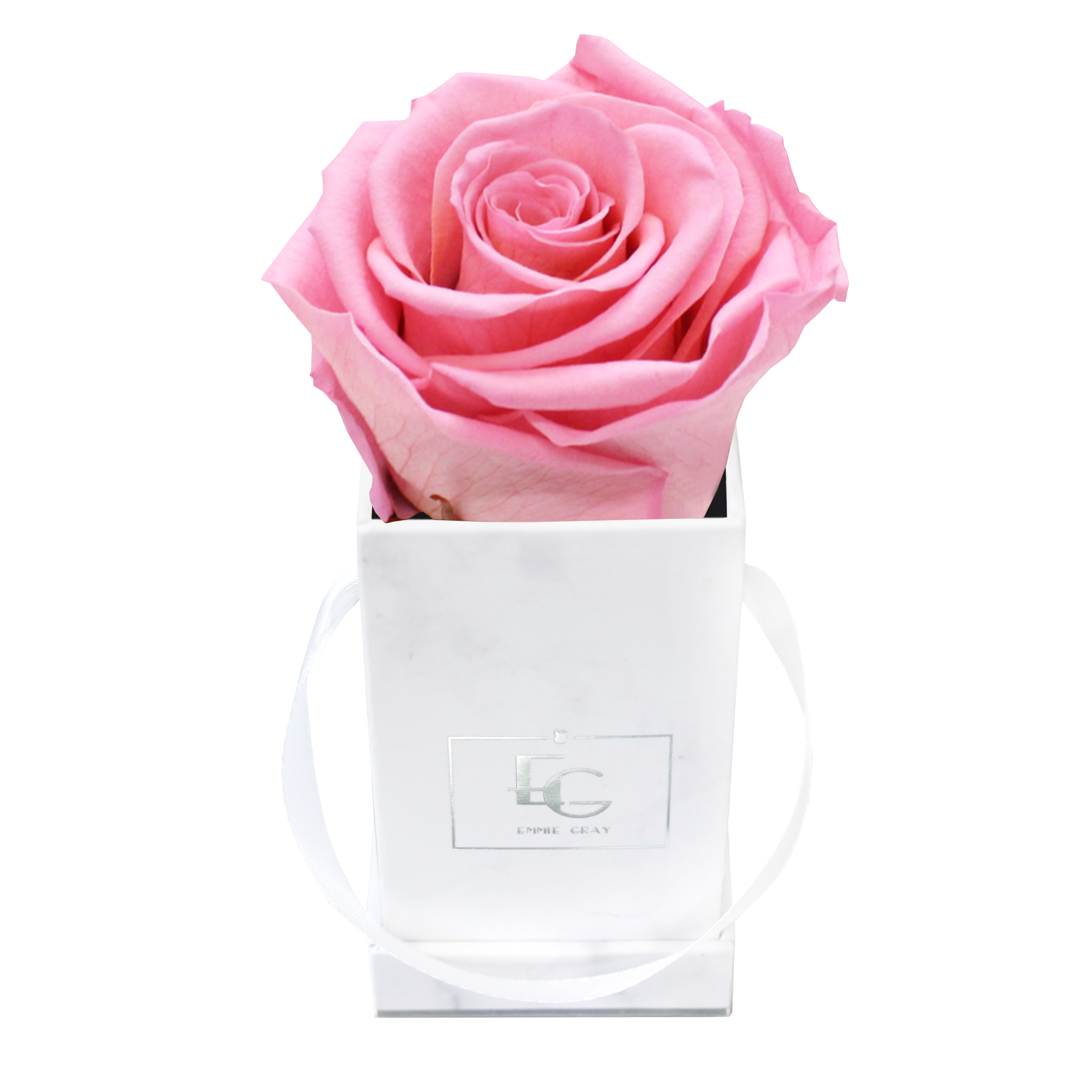 Classic Infinity Rosebox | Bridal Pink | XXS