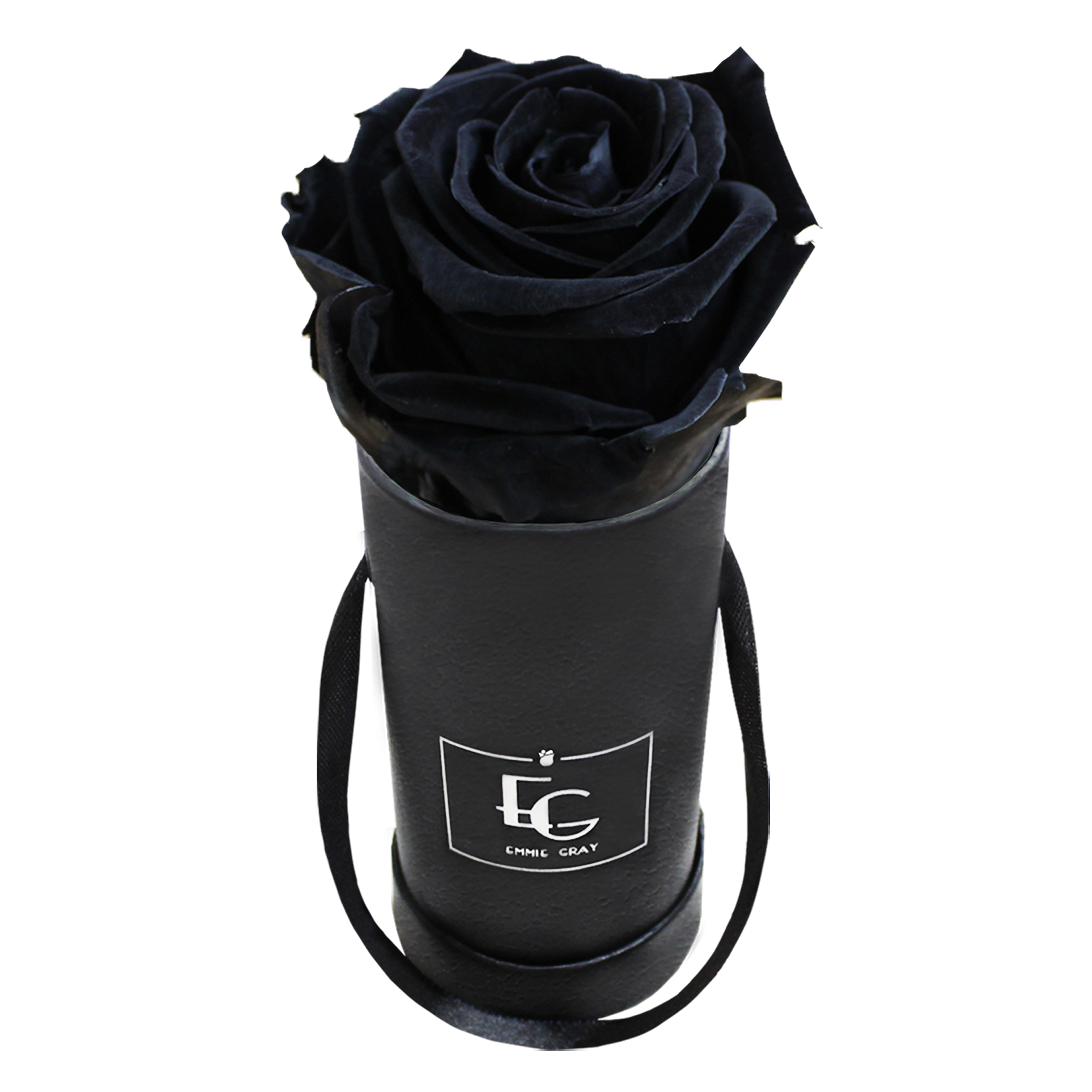 CLASSIC INFINITY ROSEBOX | BLACK BEAUTY | XXS