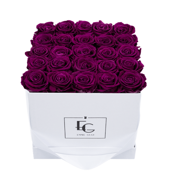 CLASSIC INFINITY ROSEBOX | VELVET PLUM | M