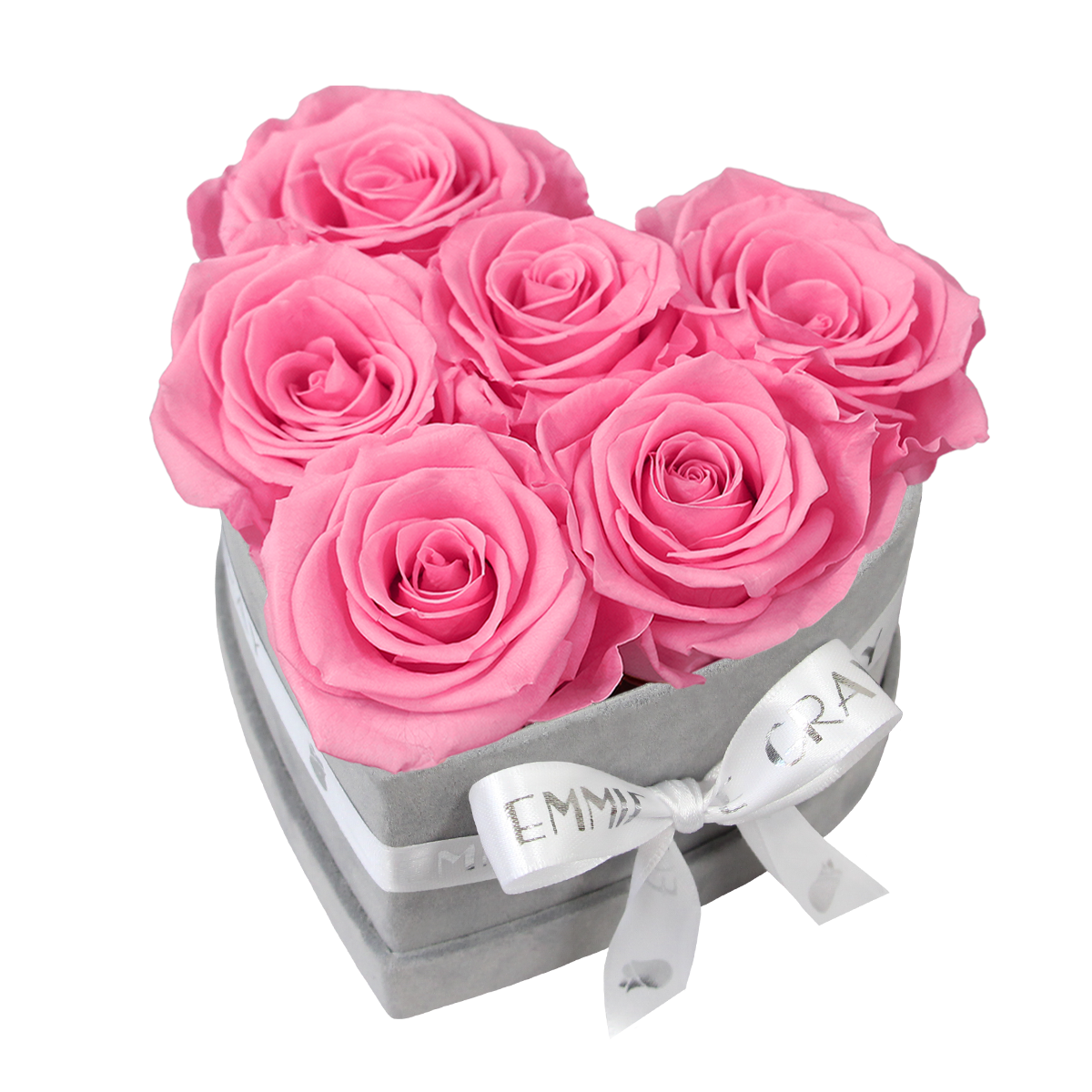 Classic Infinity Rosebox | Baby Pink | S Classic Infinity Rosebox | Baby Pink | S