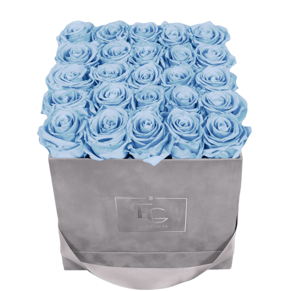 CLASSIC INFINITY ROSEBOX | BABY BLUE | M