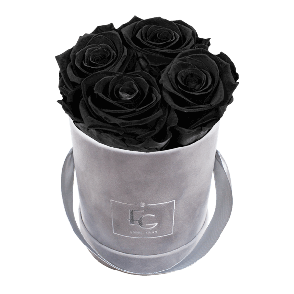 CLASSIC INFINITY ROSEBOX | BLACK BEAUTY | XS