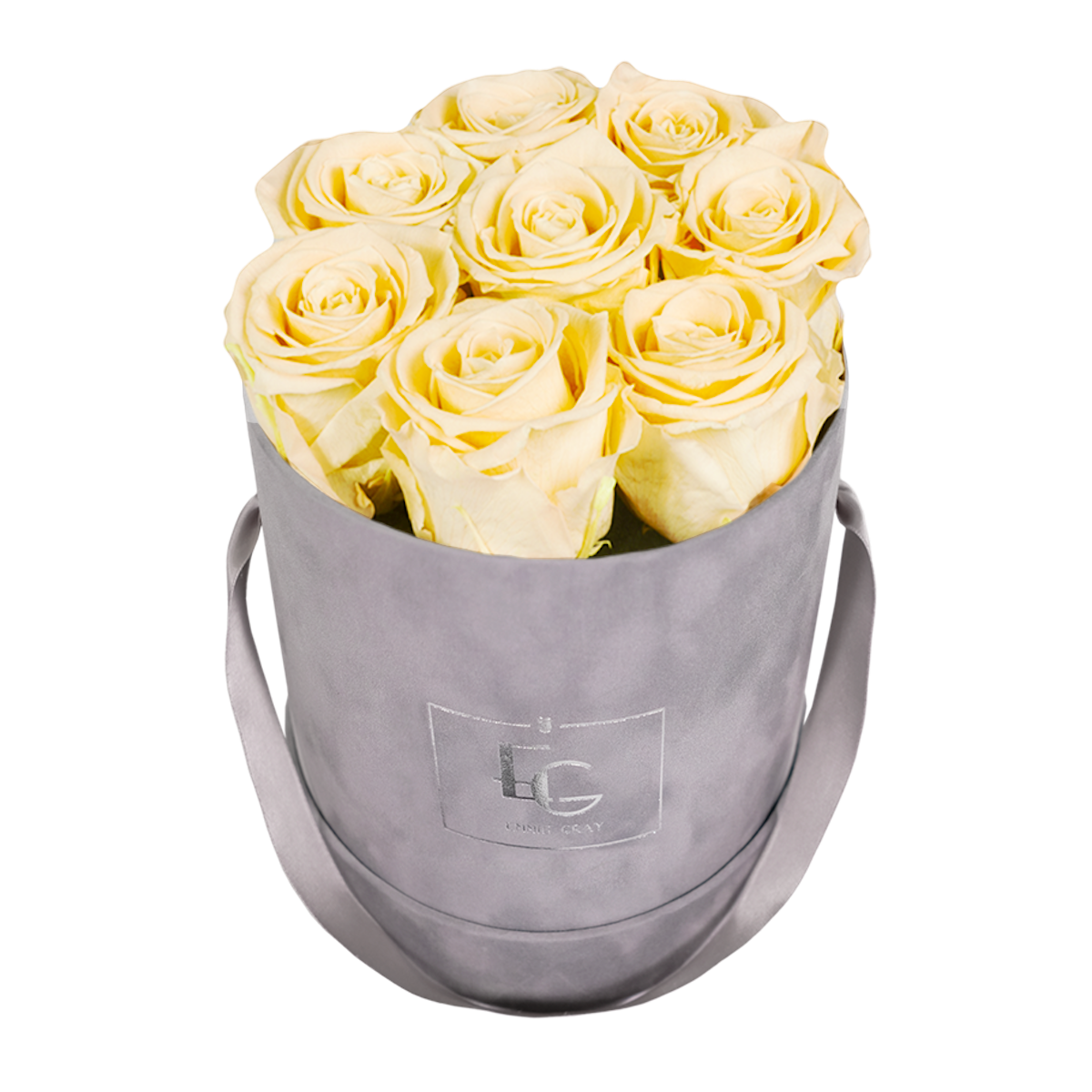 CLASSIC INFINITY ROSEBOX | CHAMPAGNE | S CLASSIC INFINITY ROSEBOX | CHAMPAGNE | S