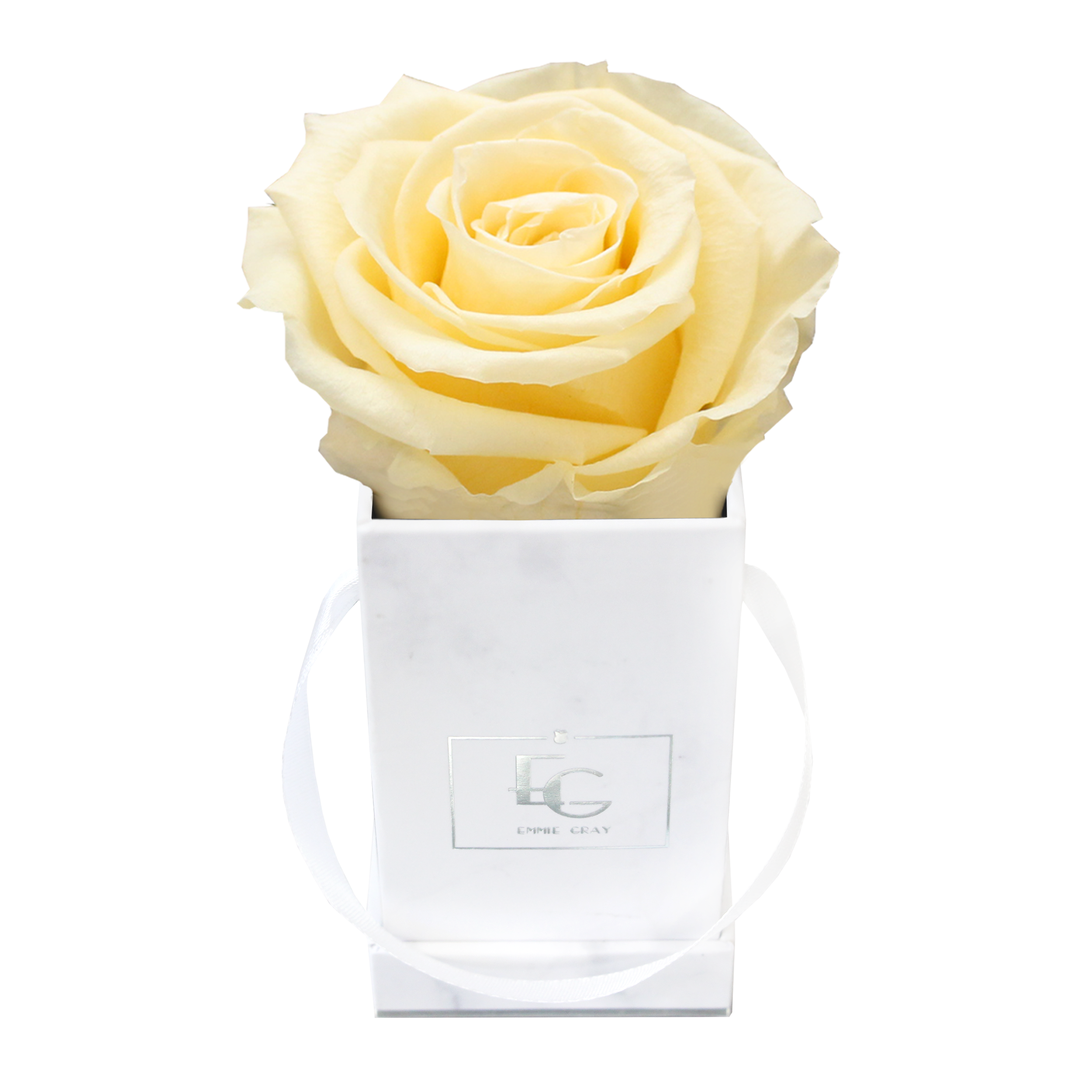 Classic Infinity Rosebox | Champagne | XXS